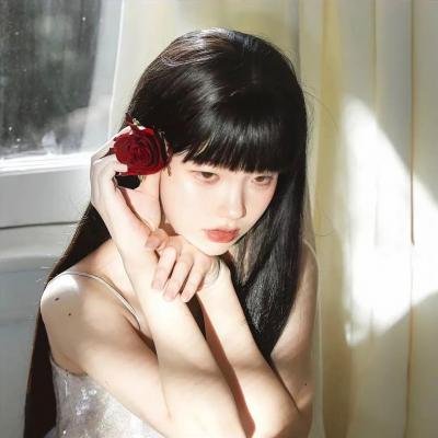 赤裸特工
