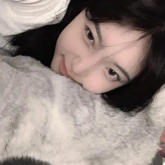 爱情治愈片单